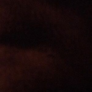 Meet your Posher, Arielle